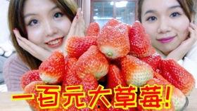 草莓100在线视频免费,免费在线观看，探索甜蜜生活的奥秘