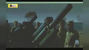 日韩高清步兵在线视频,视觉盛宴背后的伦理争议