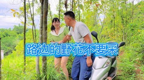 野花路在线视频,探寻自然之美，感受生命律动