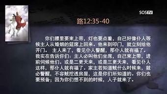 惟有基督在线视频