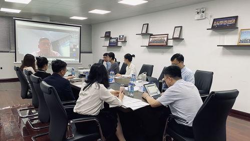 嫩叶研究院在线视频,揭秘在线视频背后的创新与智慧