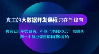 大数据在线视频学习,大数据时代下的在线视频学习革新之路
