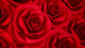 红玫瑰在线视频,激情燃烧的在线视频传奇