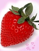 草莓羞羞在线视频,揭秘网络短视频的诱惑与风险