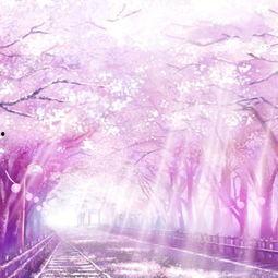 在线视频动漫樱花